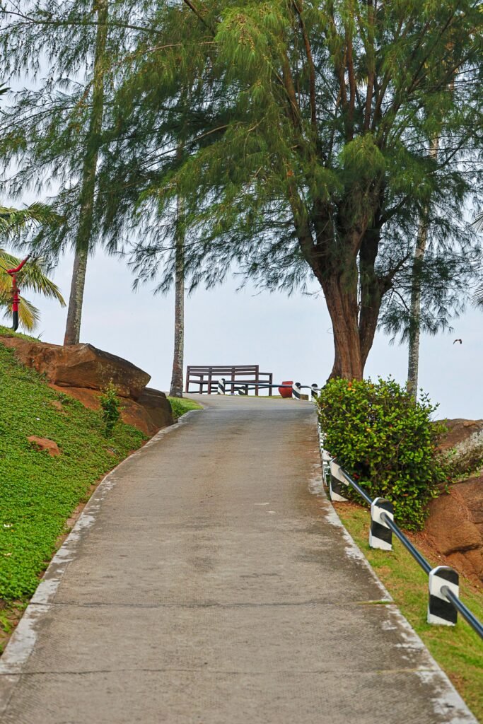 A paved road with trees on both sides of it